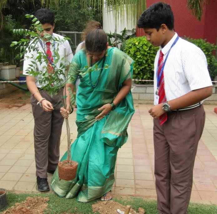 World Environment Day 2026: Driving Climate Action